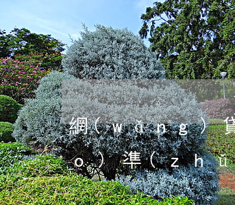 網(wǎng)貸逾期起訴立案標(biāo)準(zhǔn)是多少額度(網(wǎng)貸逾期起訴立案標(biāo)準(zhǔn)還款后還是繼續(xù)起訴嗎)