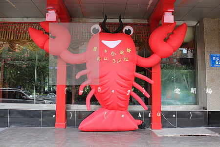 網(wǎng)貸逾期起訴立案標(biāo)準(zhǔn)(網(wǎng)貸逾期起訴立案標(biāo)準(zhǔn)還款后還是繼續(xù)起訴嗎)