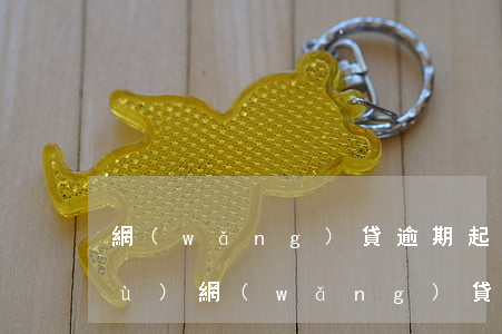 網(wǎng)貸逾期起訴要哪些證據(jù)(網(wǎng)貸逾期被起訴需要準(zhǔn)備什么)