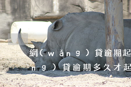 網(wǎng)貸逾期起訴要多久(網(wǎng)貸逾期多久才起訴)