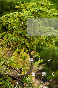 網(wǎng)貸逾期起訴通知書快遞包裝圖 網(wǎng)貸逾期收到了起訴通知書