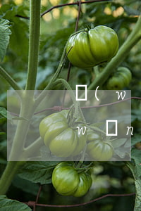 網(wǎng)貸逾期起訴還是沒錢還(網(wǎng)貸逾期未還)