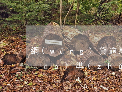 網(wǎng)貸逾期起訴金額立案標(biāo)準(zhǔn)(網(wǎng)貸逾期起訴立案流程)