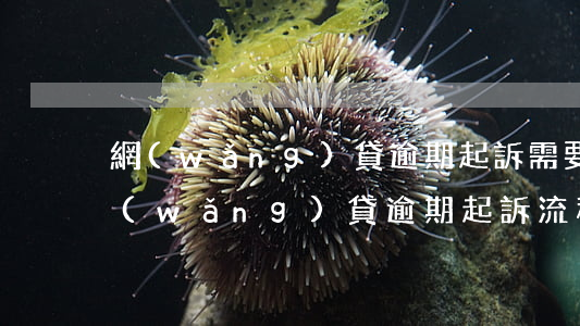網(wǎng)貸逾期起訴需要多長時間（網(wǎng)貸逾期起訴流程需要多久）