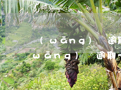 網(wǎng)貸逾期超過一年怎么辦(網(wǎng)貸逾期一年半了)