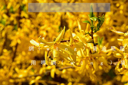 網(wǎng)貸逾期超過九十天信用卡能用嗎 網(wǎng)貸逾期九十天以上會怎么樣