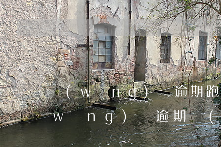 網(wǎng)貸逾期跑路有什么后果(網(wǎng)貸逾期會(huì)咋樣)