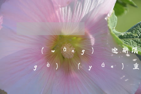 網(wǎng)貸逾期跟信用卡逾期哪個(gè)嚴(yán)重(信用卡和網(wǎng)貸逾期)