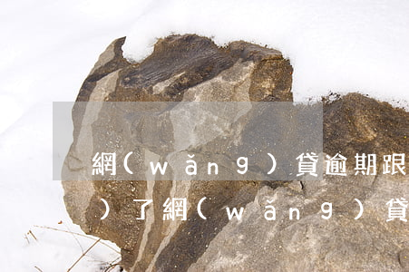 網(wǎng)貸逾期跟催收說失業(yè)了(網(wǎng)貸逾期遭催收怎么辦)