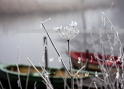 網(wǎng)貸逾期跟家里人坦白的真實錄音-網(wǎng)貸逾期和家人坦白