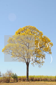 網(wǎng)貸逾期跟銀行說的話術(shù)(網(wǎng)貸反催收話術(shù))