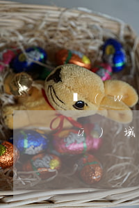 網(wǎng)貸逾期跨省起訴嗎(跨區(qū)域網(wǎng)貸逾期)