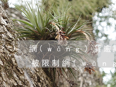 網(wǎng)貸逾期身份證會(huì)被限制(網(wǎng)貸逾期用身份證會(huì)不會(huì)影響)