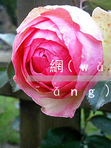 網(wǎng)貸逾期車會被拍賣嗎(網(wǎng)貸逾期會拍賣房產(chǎn)嗎?)