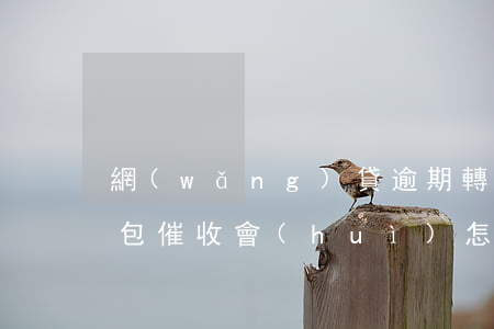 網(wǎng)貸逾期轉(zhuǎn)外包催收會(huì)怎樣嗎（網(wǎng)貸逾期轉(zhuǎn)外包催收會(huì)怎樣）