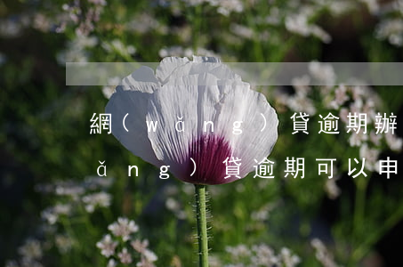 網(wǎng)貸逾期辦不了公積金(網(wǎng)貸逾期可以申請(qǐng)公積金)