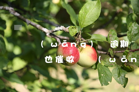 網(wǎng)貸逾期辦卡網(wǎng)點也催收嗎(網(wǎng)貸逾期被催收可以報警嗎)