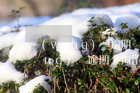 網(wǎng)貸逾期辦護照影響嗎(網(wǎng)貸逾期會拘留嗎)