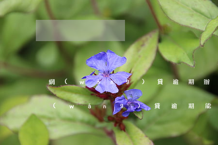 網(wǎng)貸逾期辦銀行卡可以嗎(有網(wǎng)貸逾期能重新辦銀行卡嗎)