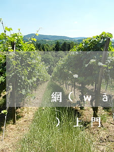 網(wǎng)貸逾期追債公司會(huì)上門