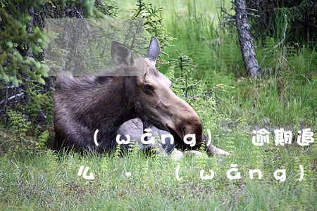 網(wǎng)貸逾期追債公司要去村委怎么辦-網(wǎng)貸逾期追債公司要去村委怎么辦呢