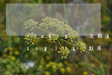 網(wǎng)貸逾期追查令怎么辦(網(wǎng)貸追訴期限)