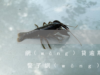 網(wǎng)貸逾期追款人報(bào)警了(網(wǎng)貸逾期被催收可以報(bào)警嗎)