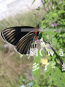 網(wǎng)貸逾期這幾天電話少了短信多了-網(wǎng)貸逾期這幾天電話少了短信多了怎么辦