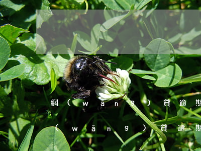 網(wǎng)貸逾期通告函有律師蓋章(網(wǎng)貸逾期發(fā)來(lái)律師函)
