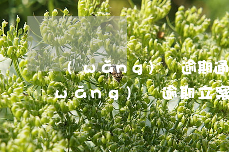 網(wǎng)貸逾期通知讓去綜合辦(網(wǎng)貸逾期立案)