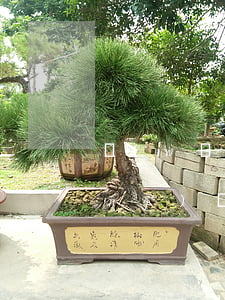 網(wǎng)貸逾期通知通訊錄(網(wǎng)貸逾期通知通訊錄有用嗎)