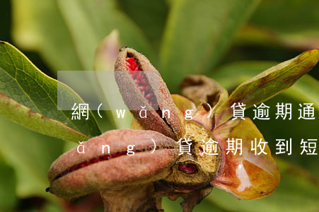網(wǎng)貸逾期通知開庭短信(網(wǎng)貸逾期收到短信通知開庭是真的嗎)