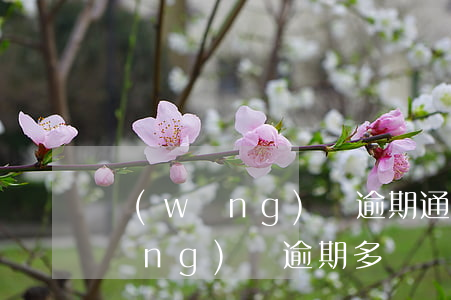 網(wǎng)貸逾期通訊錄全打嗎(網(wǎng)貸逾期多長時間爆通訊錄)