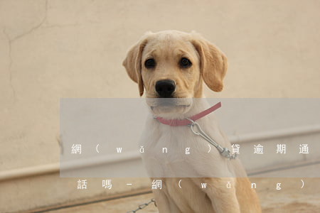網(wǎng)貸逾期通訊錄所有人都打電話嗎-網(wǎng)貸逾期通訊錄所有人都打電話嗎怎么辦