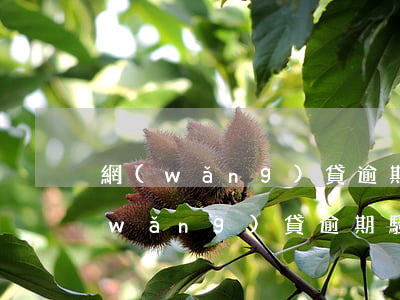 網(wǎng)貸逾期通訊錄騷擾幾天(網(wǎng)貸逾期騷擾通訊錄聯(lián)系人怎么辦)