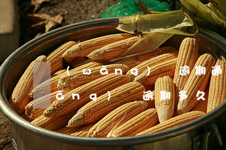 網(wǎng)貸逾期通話會被跟蹤(網(wǎng)貸逾期多久會被爆通訊錄)