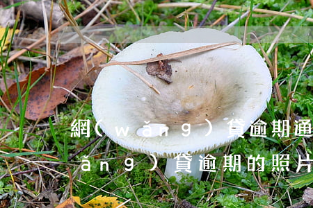 網(wǎng)貸逾期通話記錄圖片(網(wǎng)貸逾期的照片)