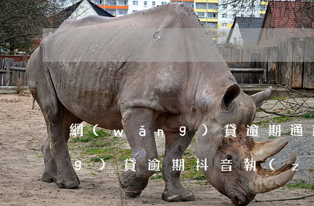 網(wǎng)貸逾期通過抖音(網(wǎng)貸逾期抖音執(zhí)行風(fēng)暴是什么意思)