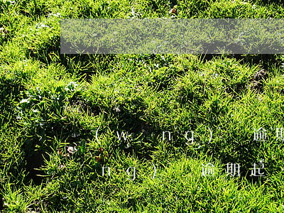 網(wǎng)貸逾期通過立案審查(網(wǎng)貸逾期起訴立案標(biāo)準(zhǔn))
