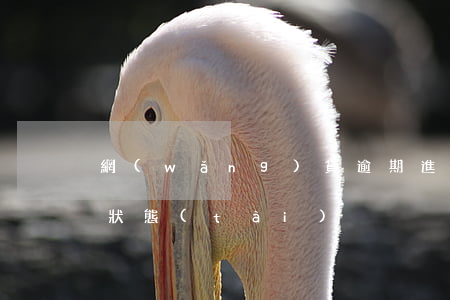網(wǎng)貸逾期進(jìn)入催款狀態(tài)