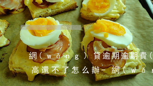 網(wǎng)貸逾期逾期費(fèi)太高還不了怎么辦-網(wǎng)貸逾期逾期費(fèi)太高還不了怎么辦呢