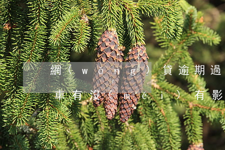 網(wǎng)貸逾期過(guò)分期買車有沒(méi)有影響-網(wǎng)貸逾期會(huì)影響分期買車嗎