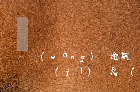 網(wǎng)貸逾期過(guò)可以坐飛機(jī)嗎(欠網(wǎng)貸能不能坐飛機(jī))