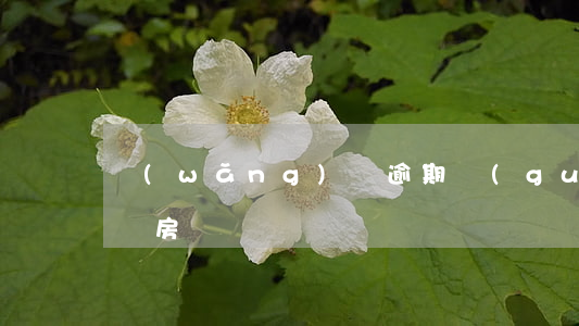 網(wǎng)貸逾期過(guò)能全款買房嗎
