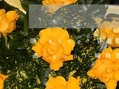 網(wǎng)貸逾期過(guò)車貸能過(guò)嘛(有過(guò)網(wǎng)貸逾期能貸款買車嗎)