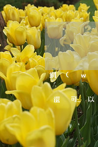 網(wǎng)貸逾期過(guò),還清了,還可以貸嗎?-網(wǎng)貸逾期過(guò)還清了還可以貸嗎