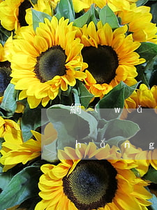 網(wǎng)貸逾期過(guò)長(zhǎng)會(huì)被起訴嗎(網(wǎng)貸逾期多久會(huì)被起訴會(huì)有什么后果)