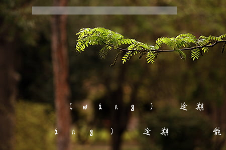 網(wǎng)貸逾期過可以買房嗎(網(wǎng)貸逾期過還能貸款買房嗎)