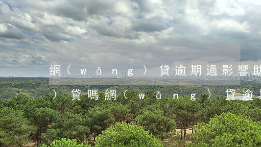 網(wǎng)貸逾期過影響助學(xué)貸嗎(網(wǎng)貸逾期會(huì)影響孩子上大學(xué)嗎)
