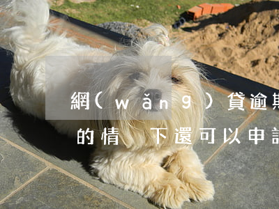網(wǎng)貸逾期過的還能貸嗎(有逾期的情況下還可以申請網(wǎng)貸嗎)